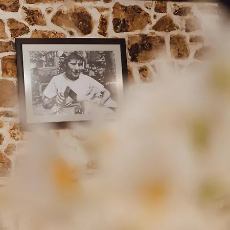 Lejlighed Kamena Oaza *