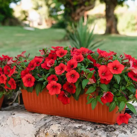 Apartmán Kamena Oaza