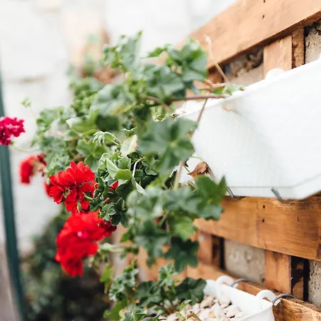 Kamena Oaza * Stolac